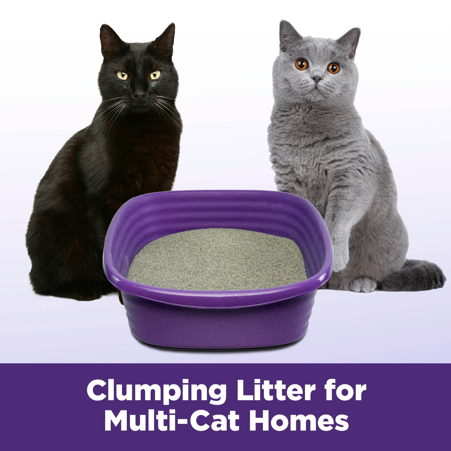 Cat litter at lowes best sale