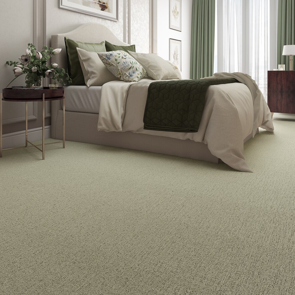 STAINMASTER STP60-L003-0808 Carpet-Samples - View #3