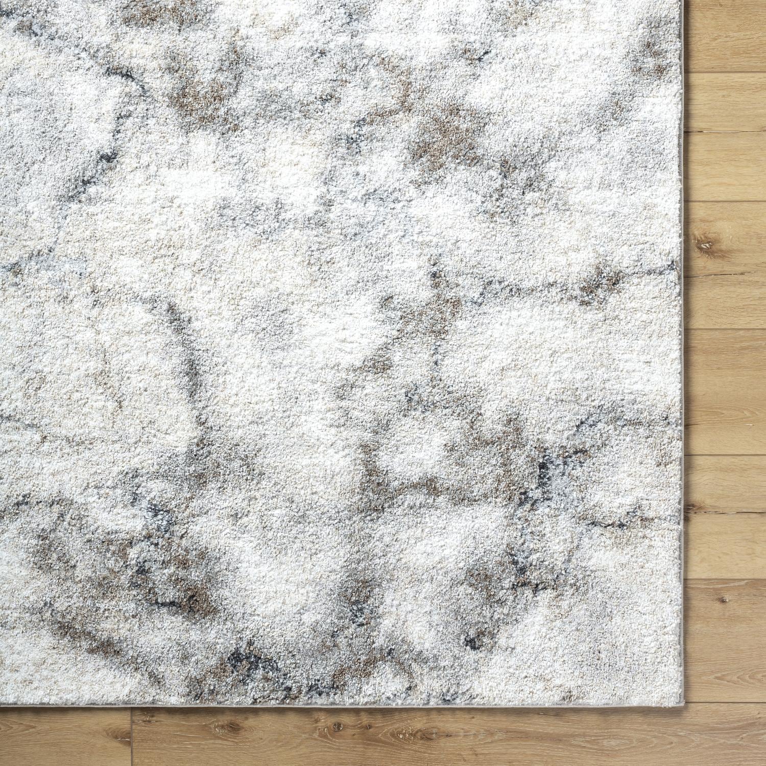 Livabliss PTF2318-71010 rugs - View #6