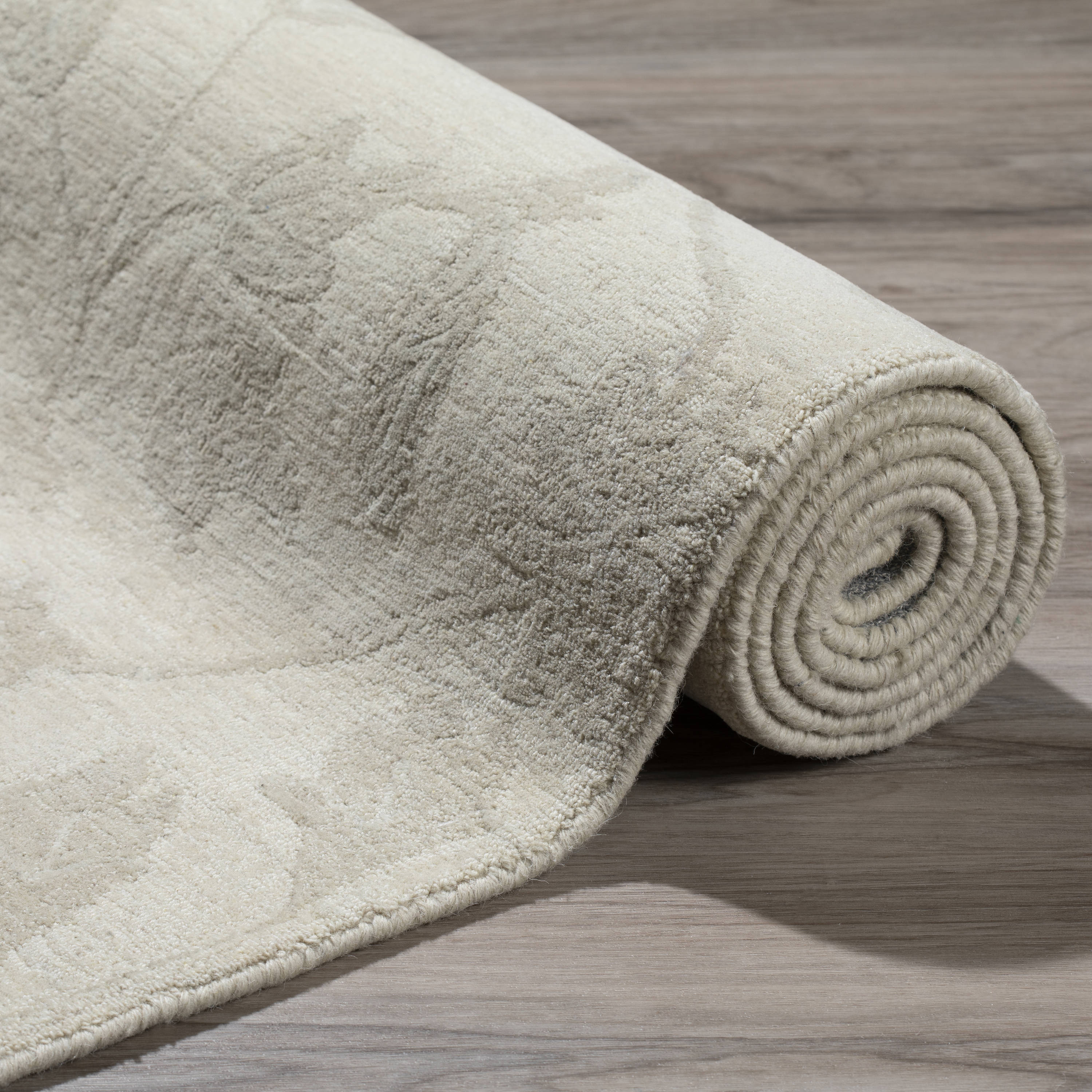 Addison Rugs AHA32PL4X6 rugs - View #9