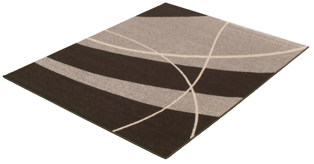ECARPETGALLERY 315538 rugs - View #4
