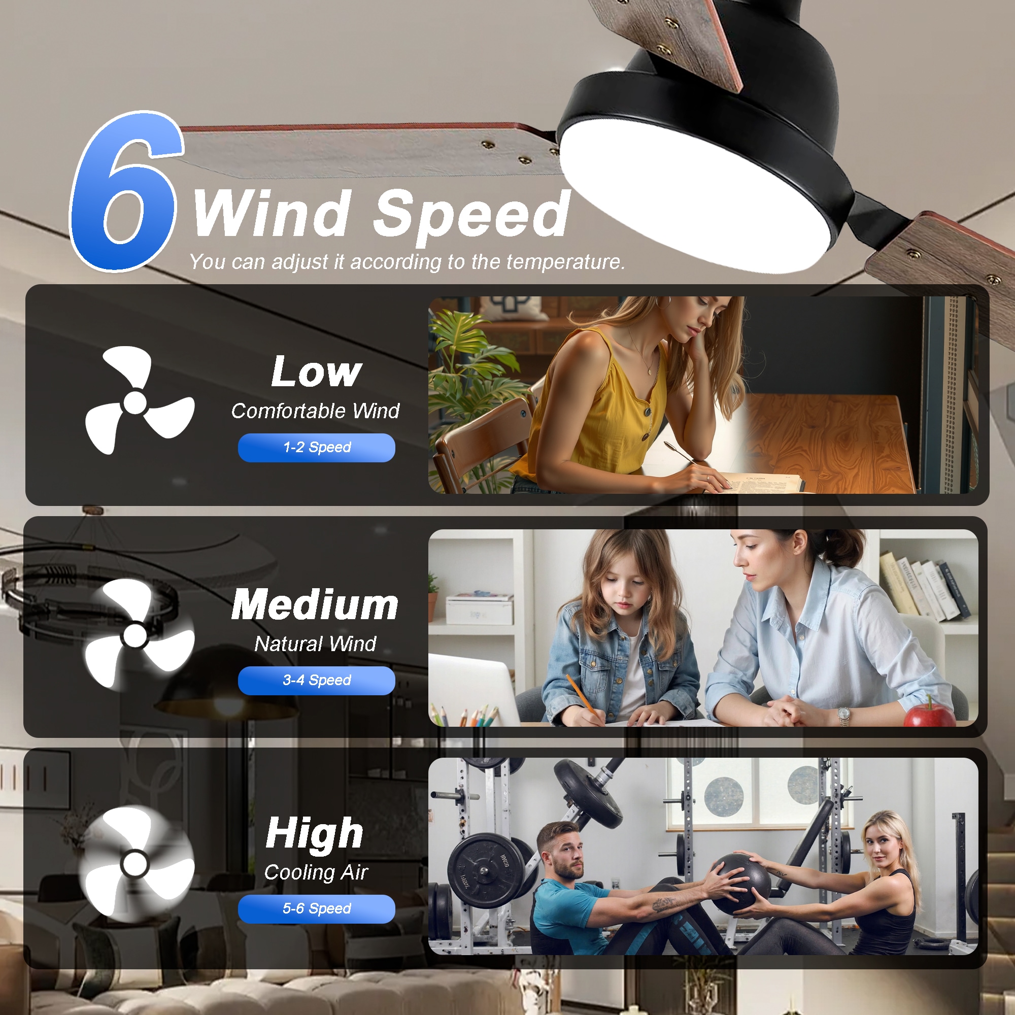Sunrinx CF-23-DS Ceiling-Fans - View #10