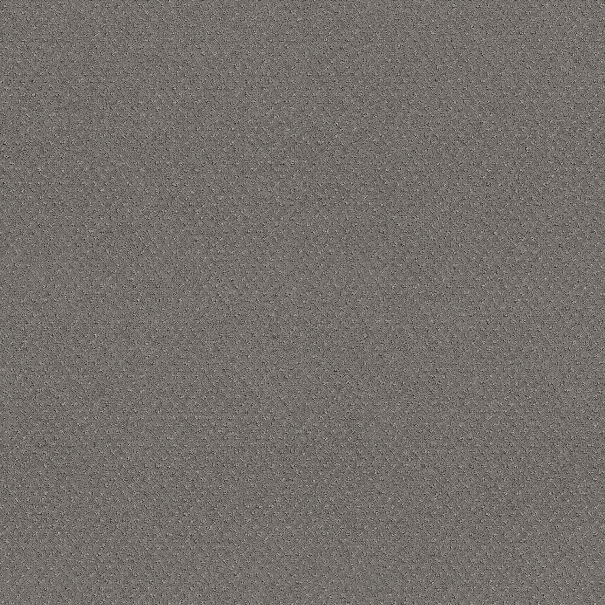 STAINMASTER PetProtect 7L899 - 545 - SAMP (Sample) Pawsitivity Pebble Beach Gray 29.2-oz sq yard Nylon Pattern Indoor Carpet