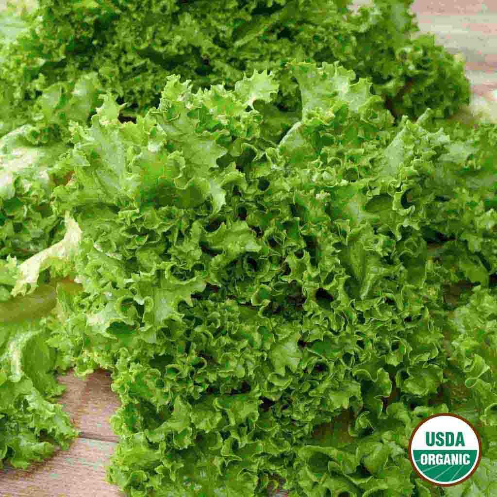 Ferry-Morse LC25.1405 Vegetable-Herb-Seeds - View #3