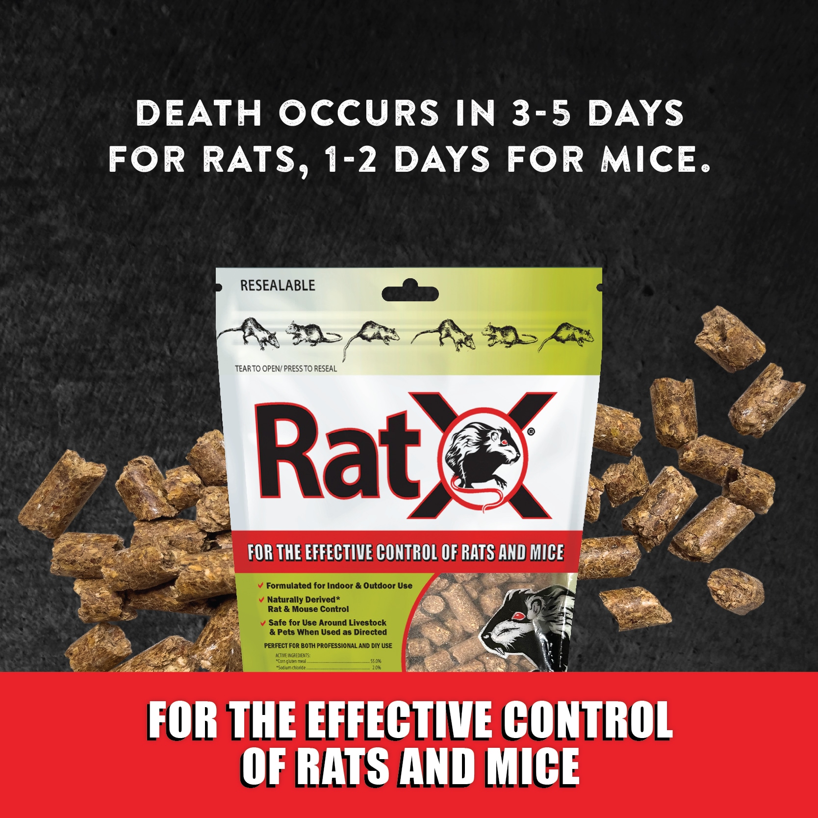 RatX Rat Control in the Animal & Rodent Control department at