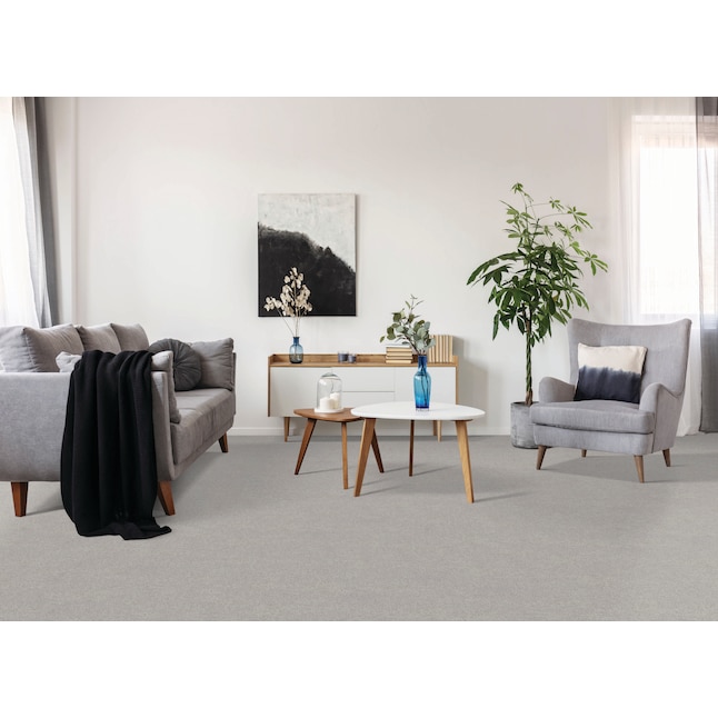 STAINMASTER Beatitude Modern Art Plush Indoor Carpet in the Carpet  department at