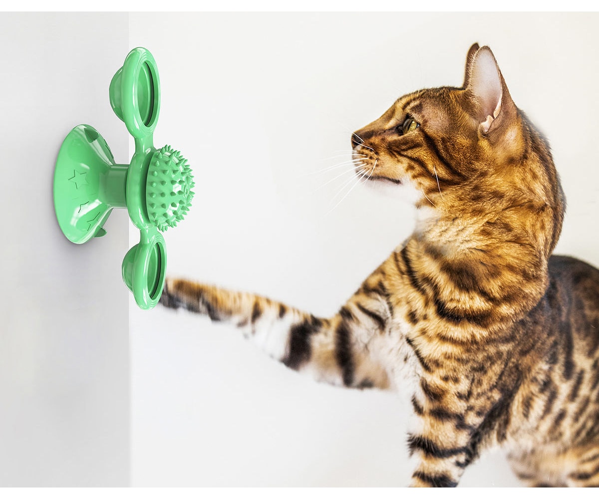 Pet Life 'Grip N' Play' Treat Dispensing Football Shaped Suction Cup Dog Toy - Green