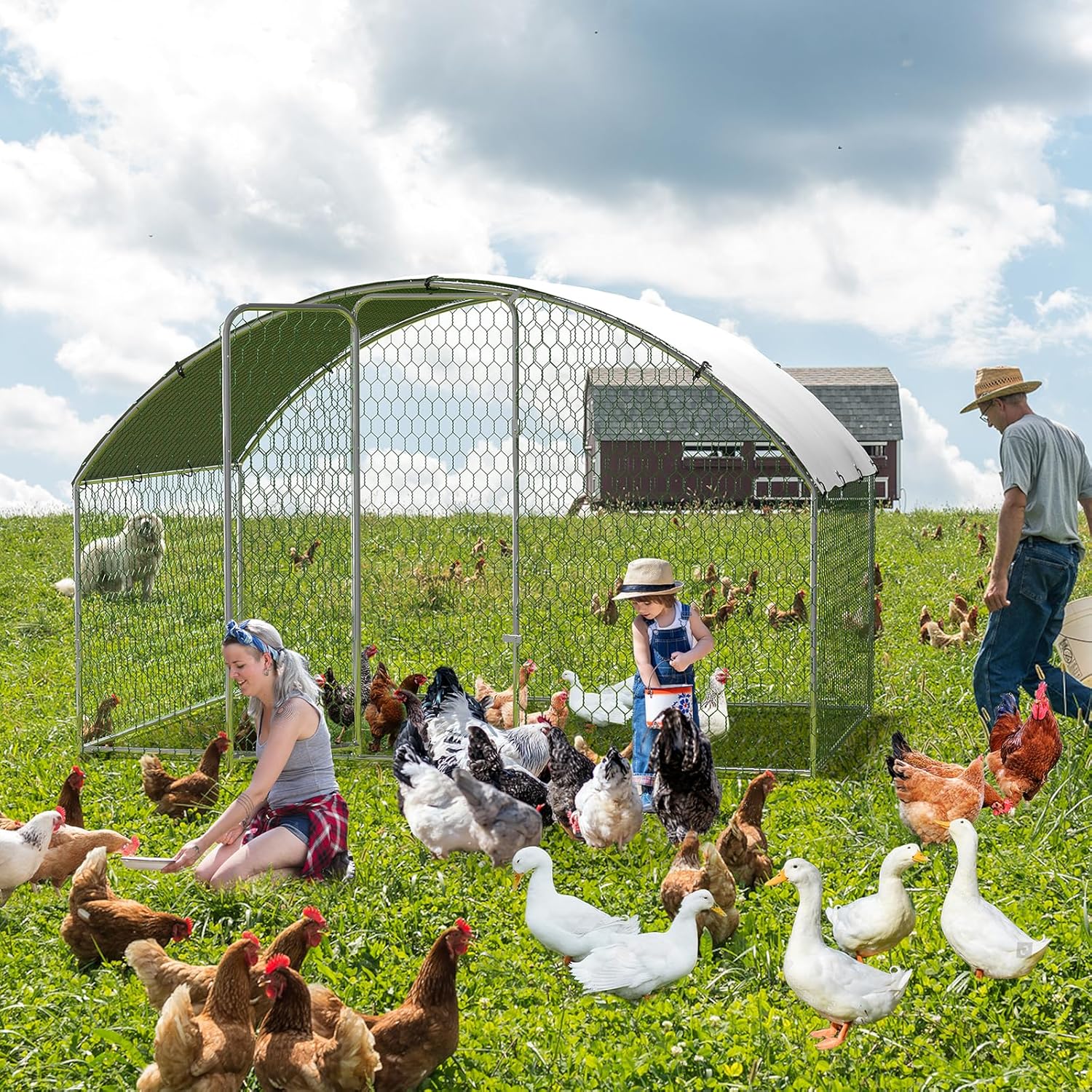 Qeetex GGL-PHO-33J6WVRX Chicken-Coops-Rabbit-Hutches - View #2