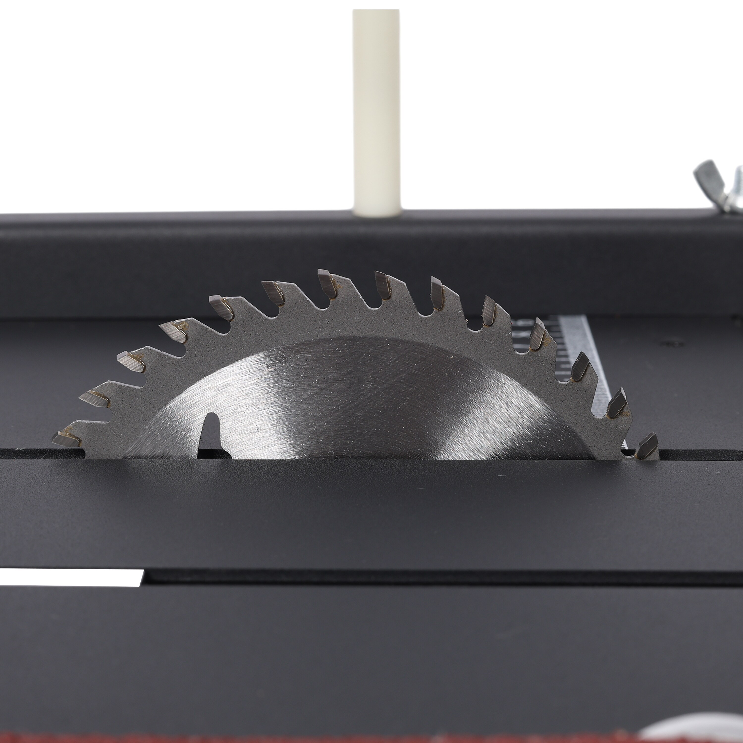 Tatayosi XH200266 c100100 - View #12