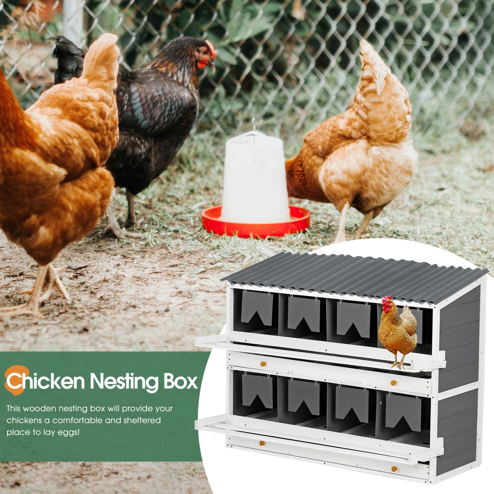 Maocao Hoom YH-C-PP-DC030 Chicken-Coops-Rabbit-Hutches - View #5