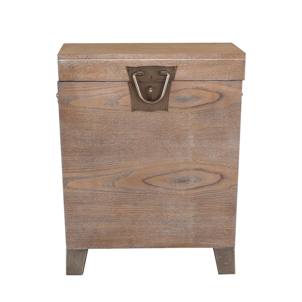 Boston Loft Furnishings Composite wood Storage Trunks at