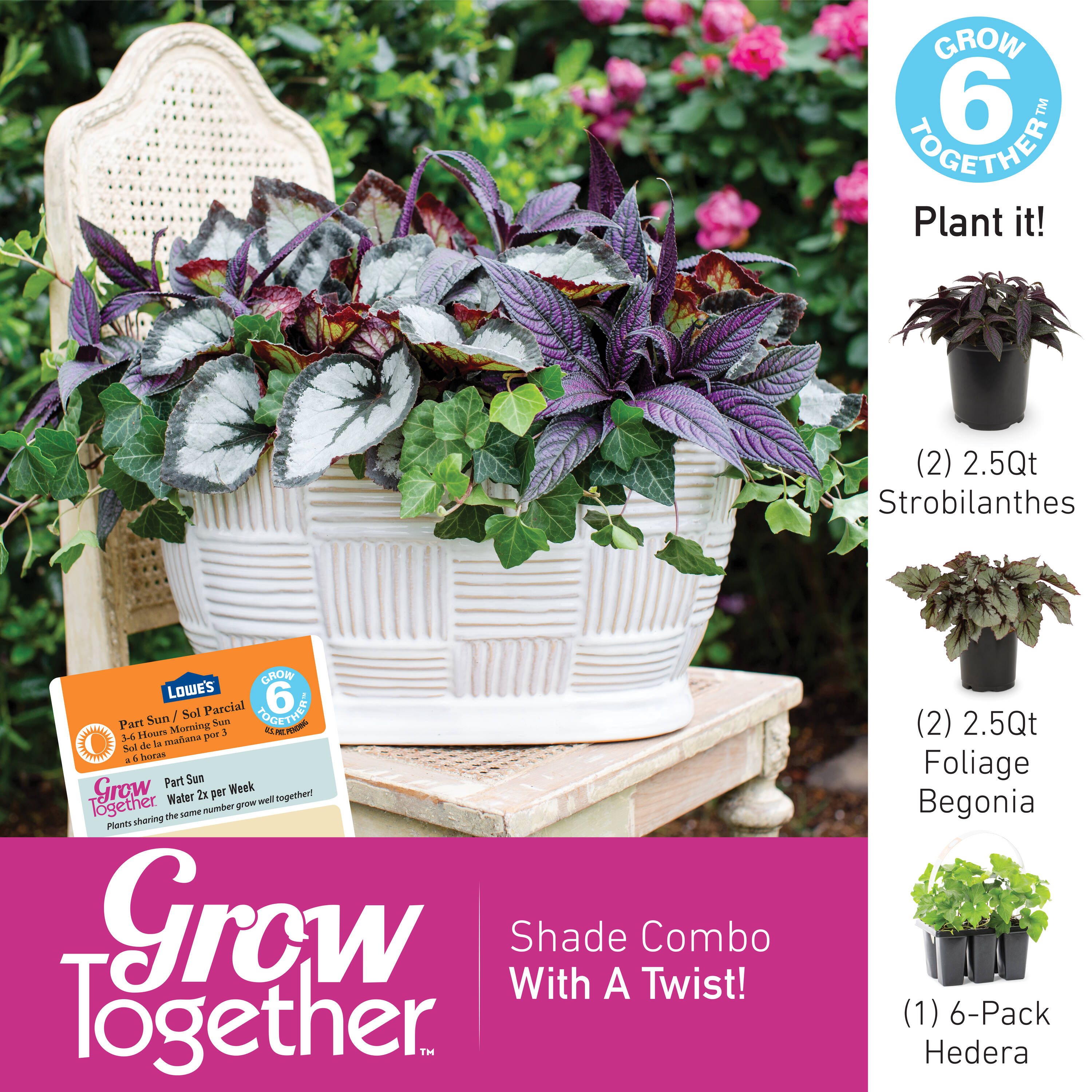 Metrolina Greenhouses 4622 annuals - View #5