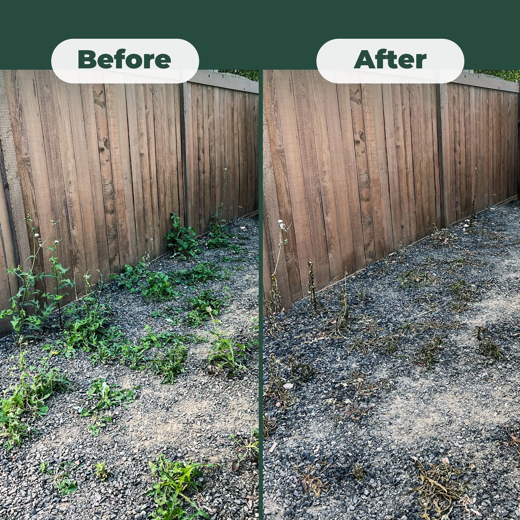 Mighty Mint WGK-32 Weed-Killers - View #4