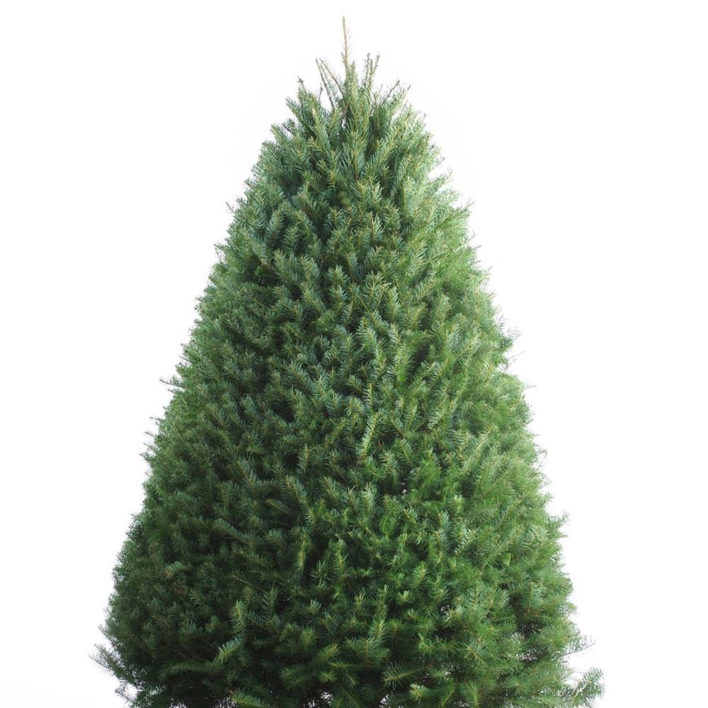 5/6/7FT Artificial Christmas Tree Spray White Bushy Branch With Pine Cones 