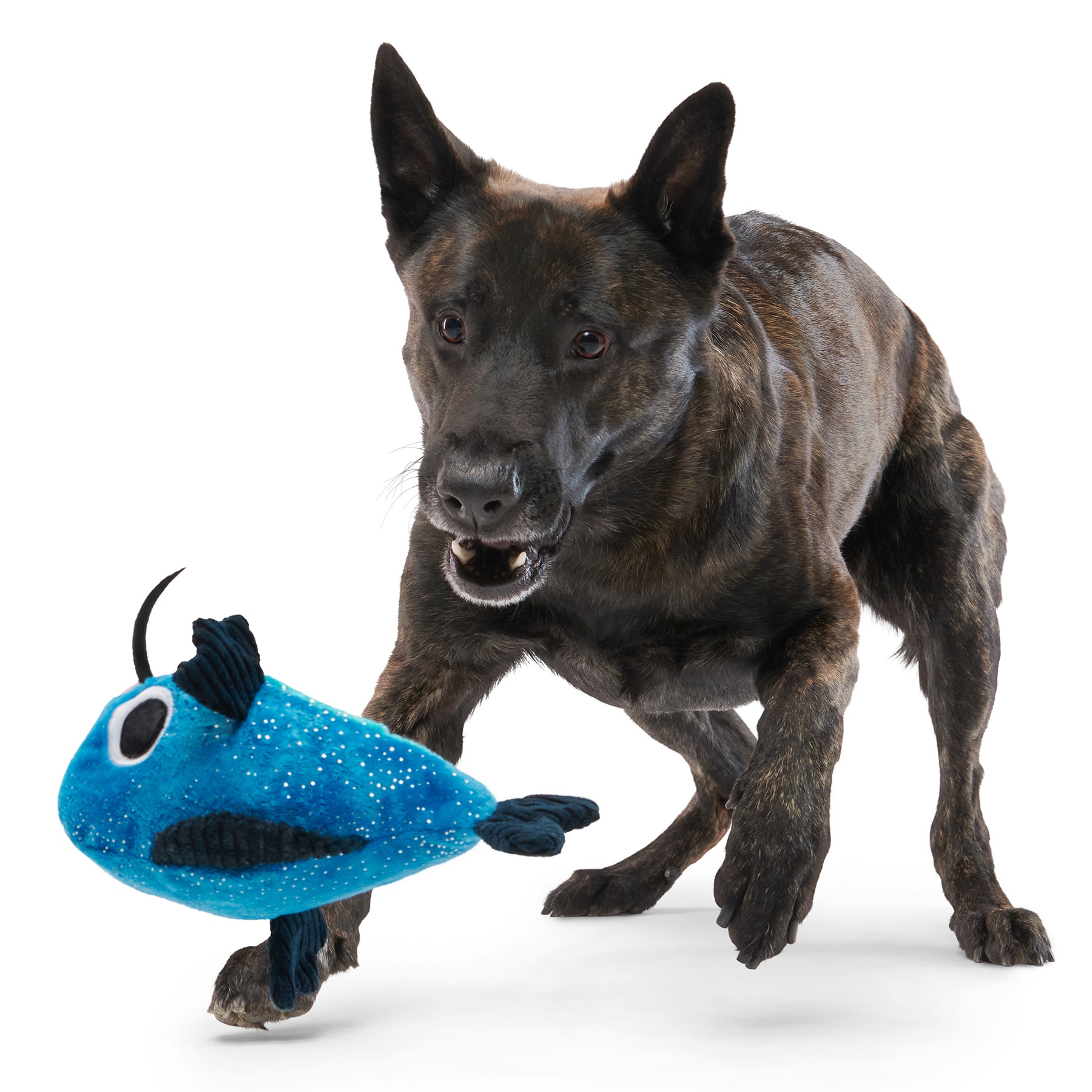 BARK 215915 Dog-Toys - View #2
