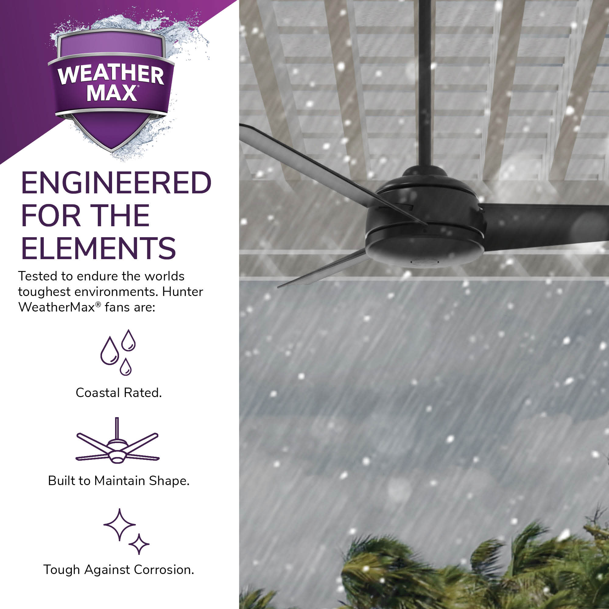 Hunter 59609 Ceiling-Fans - View #12