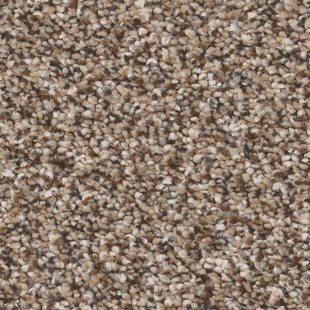 STAINMASTER 7L95500704 Animated I Rodeo Tan 48.8-oz sq yard Solution-dyed polyester Textured Indoor Carpet