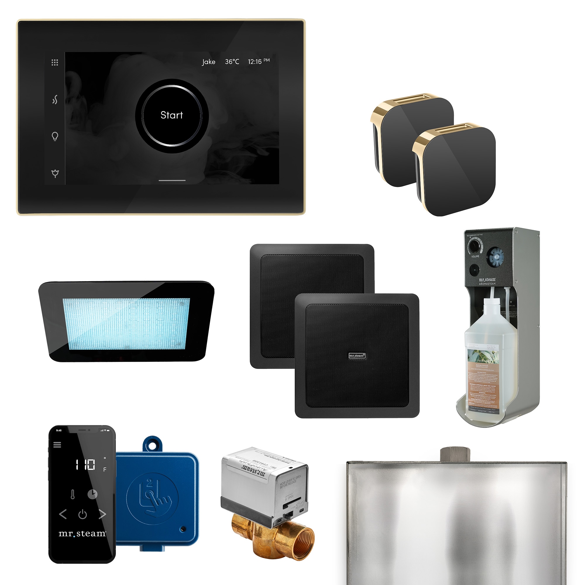 Mr. Steam XDRM1BKXPB Xdream Max 500-Watts Polished Brass Steam generator control kit