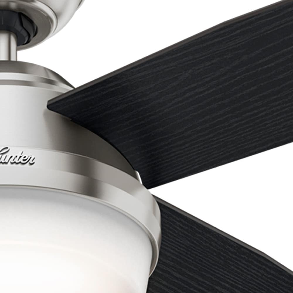 Hunter 59216 Ceiling-Fans - View #13