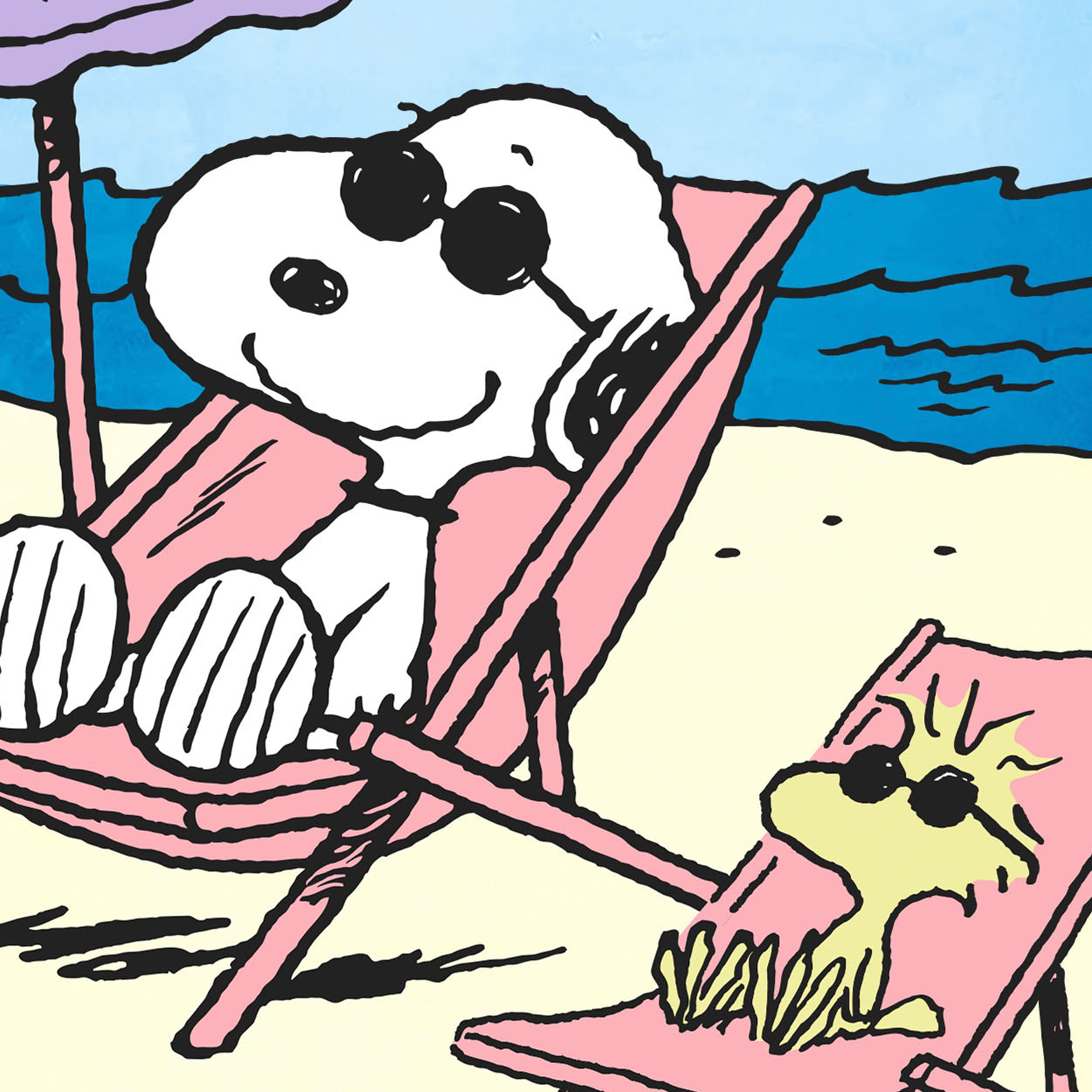 Peanuts 10-1336-51-01 Decorative-Banner-Flags - View #4