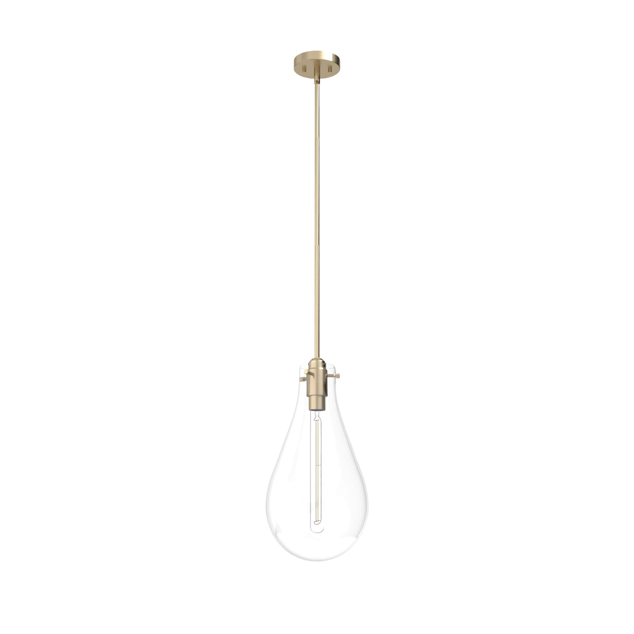 Hunter Lundin Palm Gold Modern/Contemporary Clear Glass Teardrop LED ...