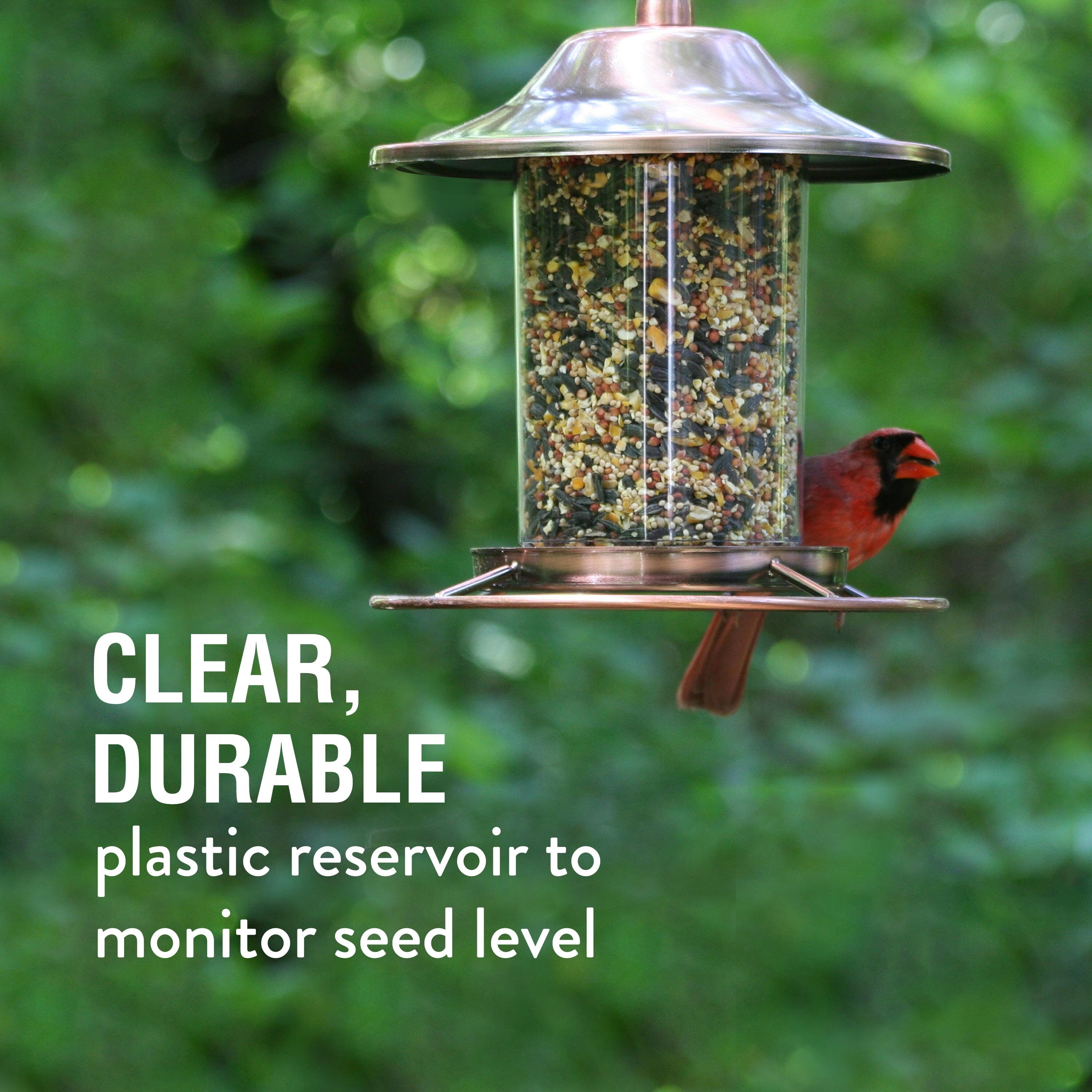 Perky-Pet 312C Bird-Feeders - View #15