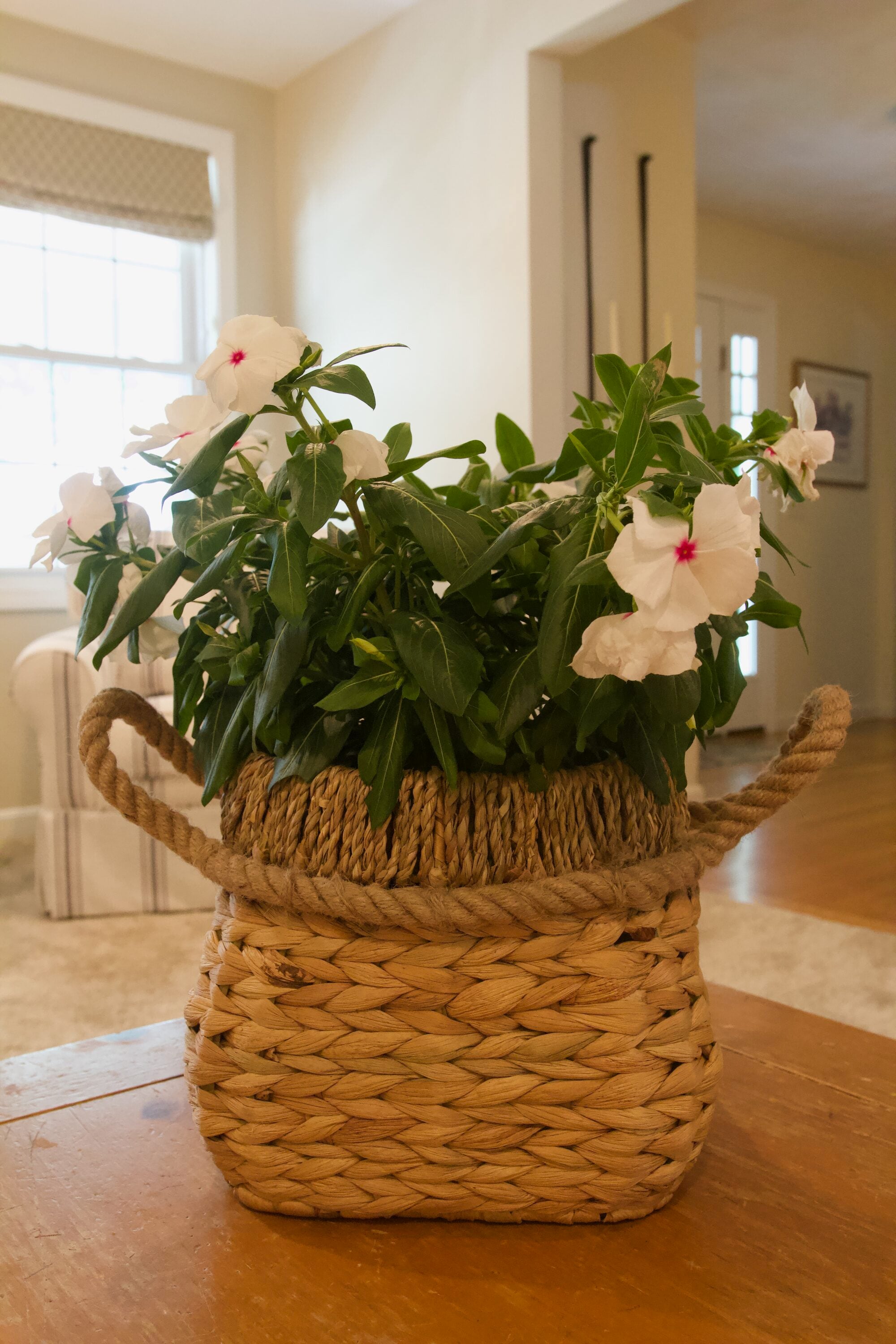 allen + roth SD9993A-S Planter-Window-Box - View #13