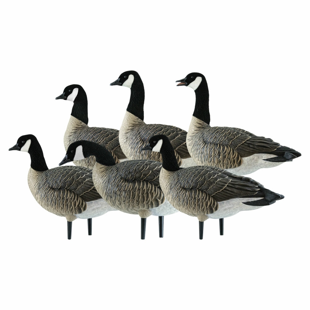  Avian X 408536 Hunting-Equipment - View #9