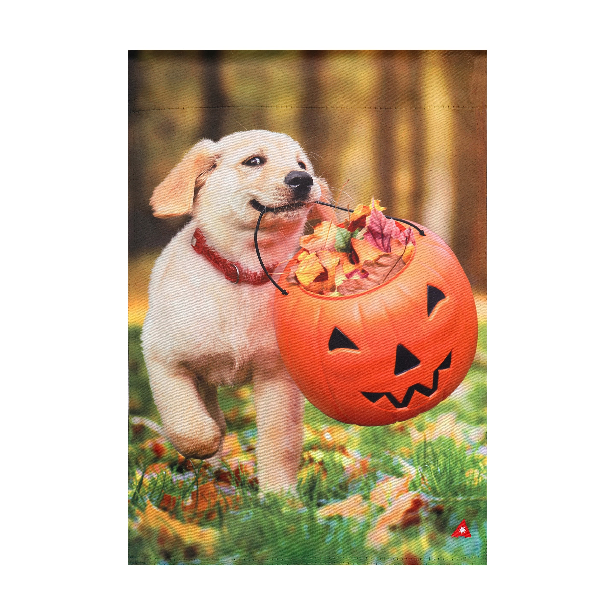 Style Selections ZLW14S10492 1.04-ft W x 1.5-ft H Halloween Embroidered Flag