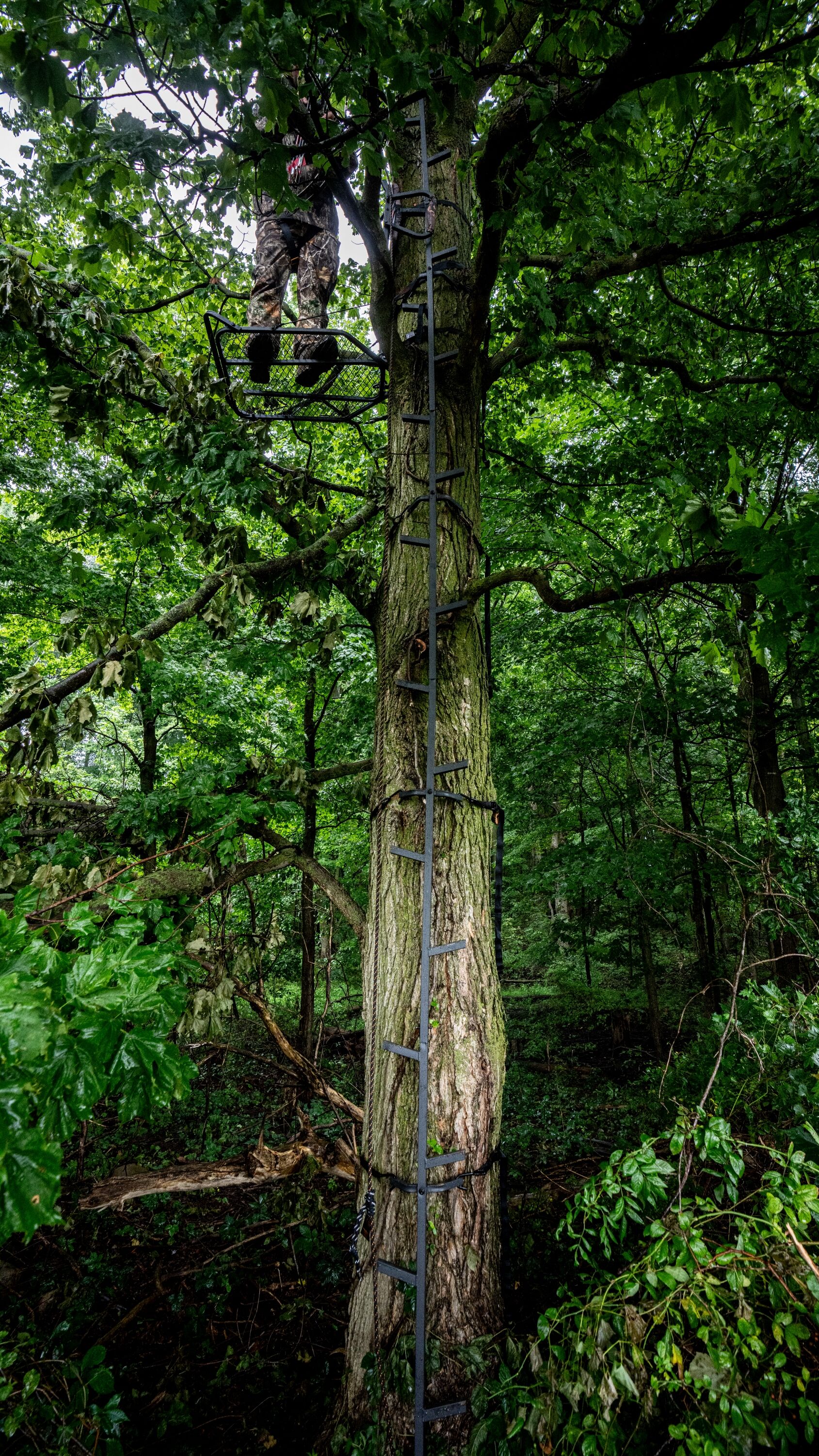 BIG GAME BGM-CS050 Hunting-Equipment - View #6