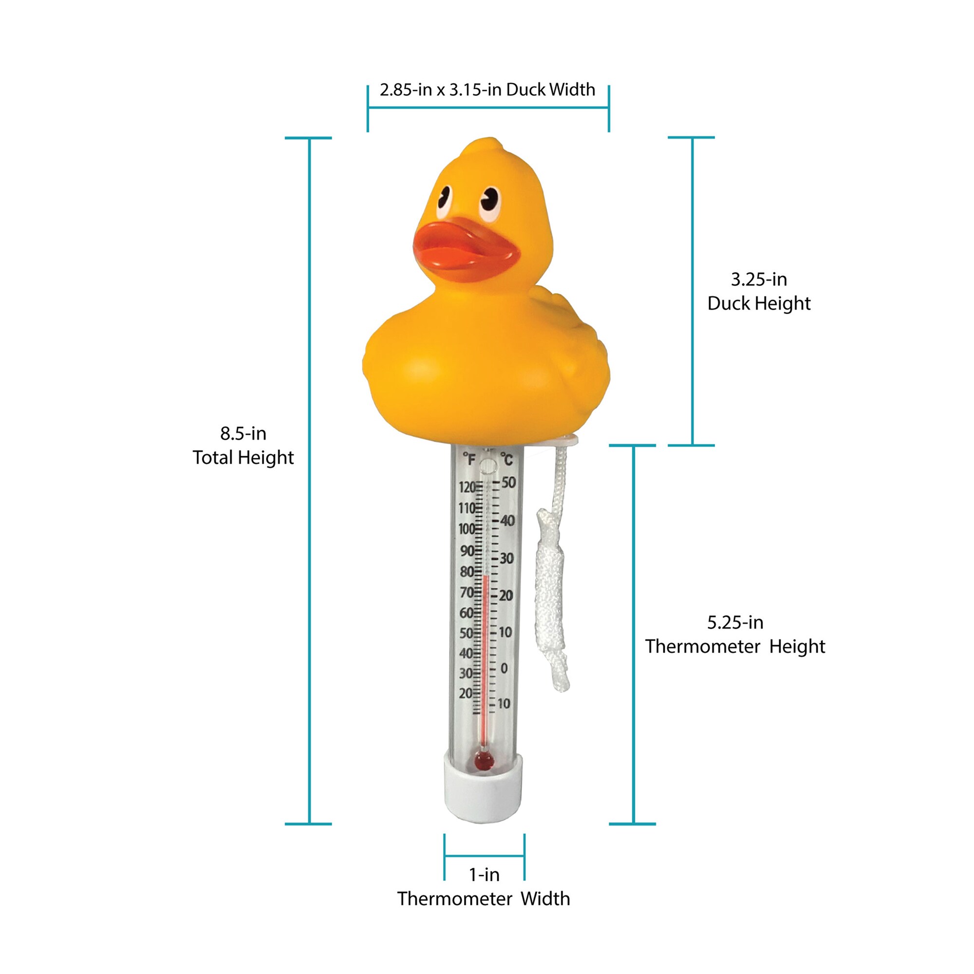Project Source TF225MIX-PS Pool-Thermometers - View #5