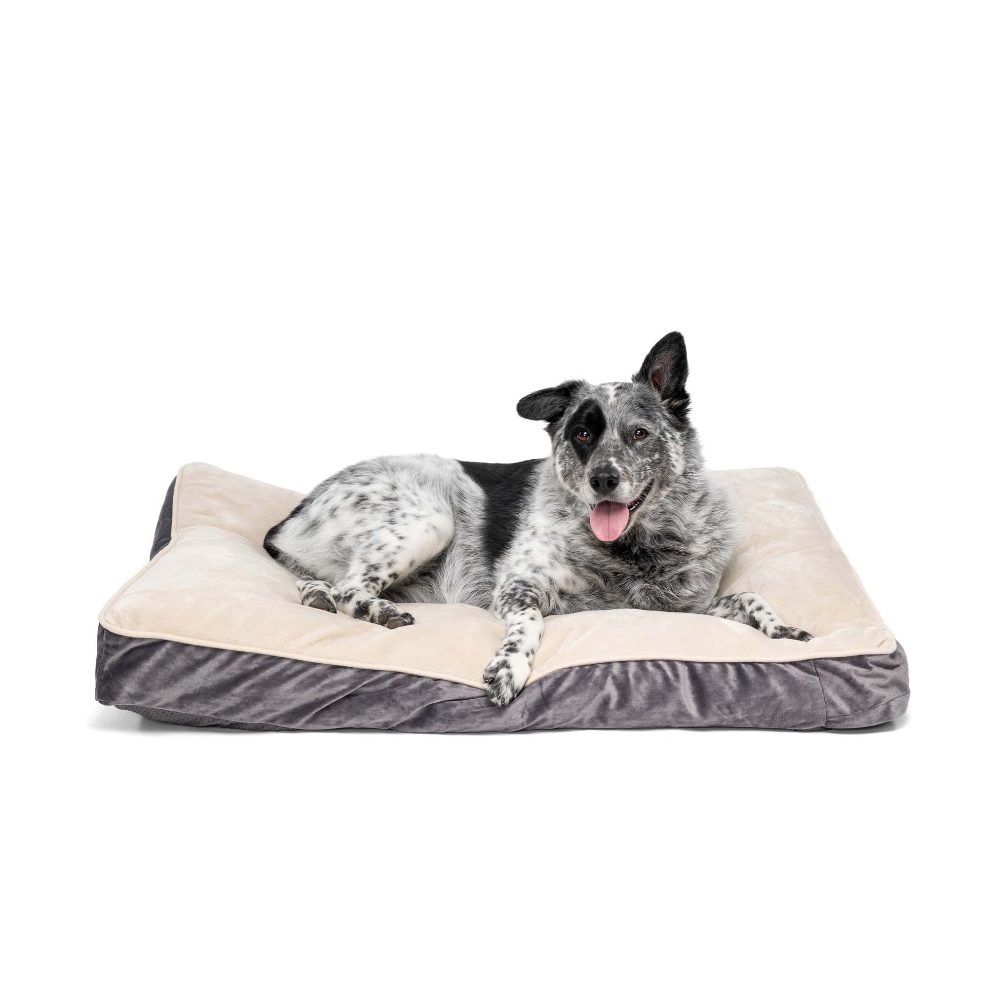 EveryYay 3878943 Pet-Beds - View #3