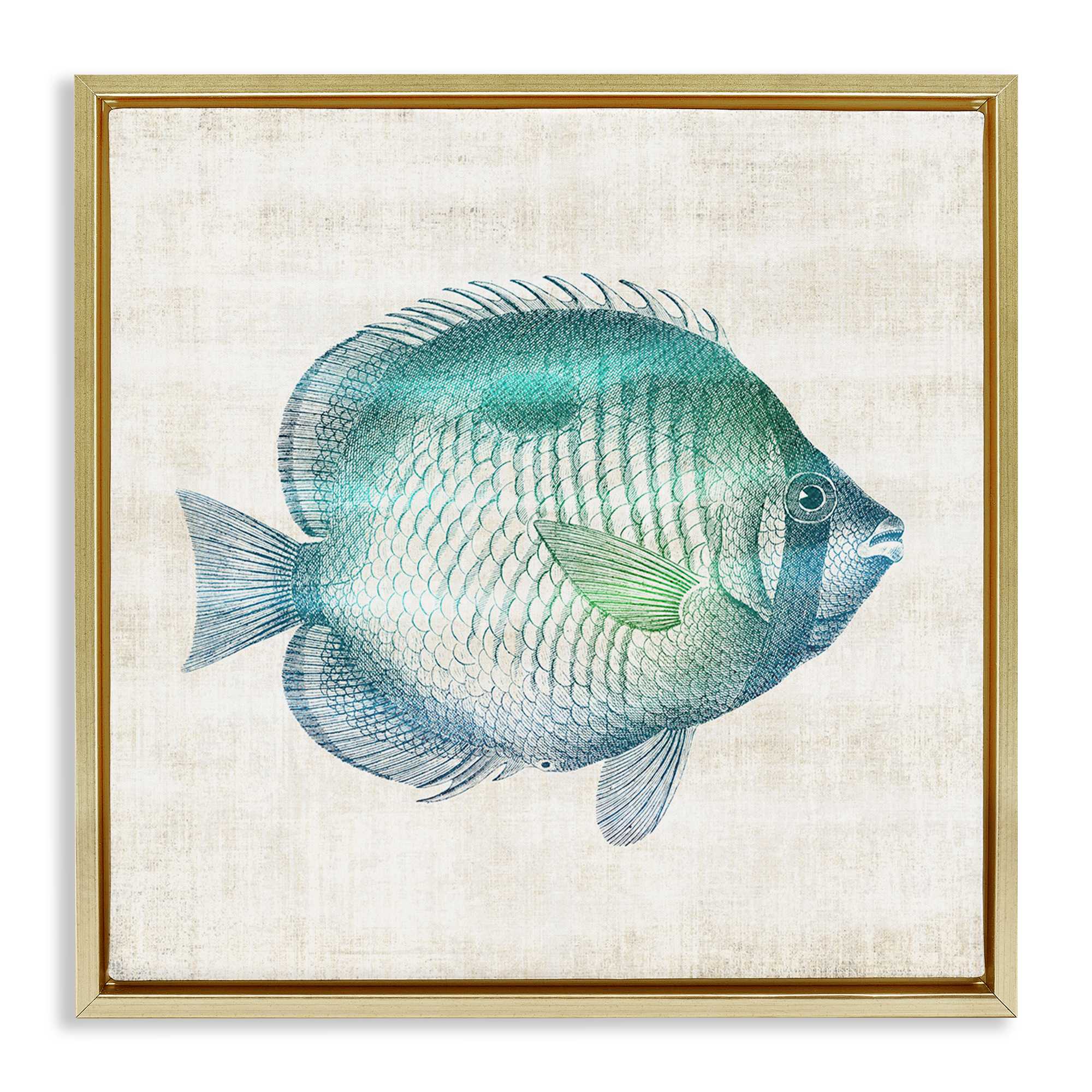 Stupell Industries BS-168-FFG-24X24 Fish Impression Sea Life Floating Frame design by Susan Arnot