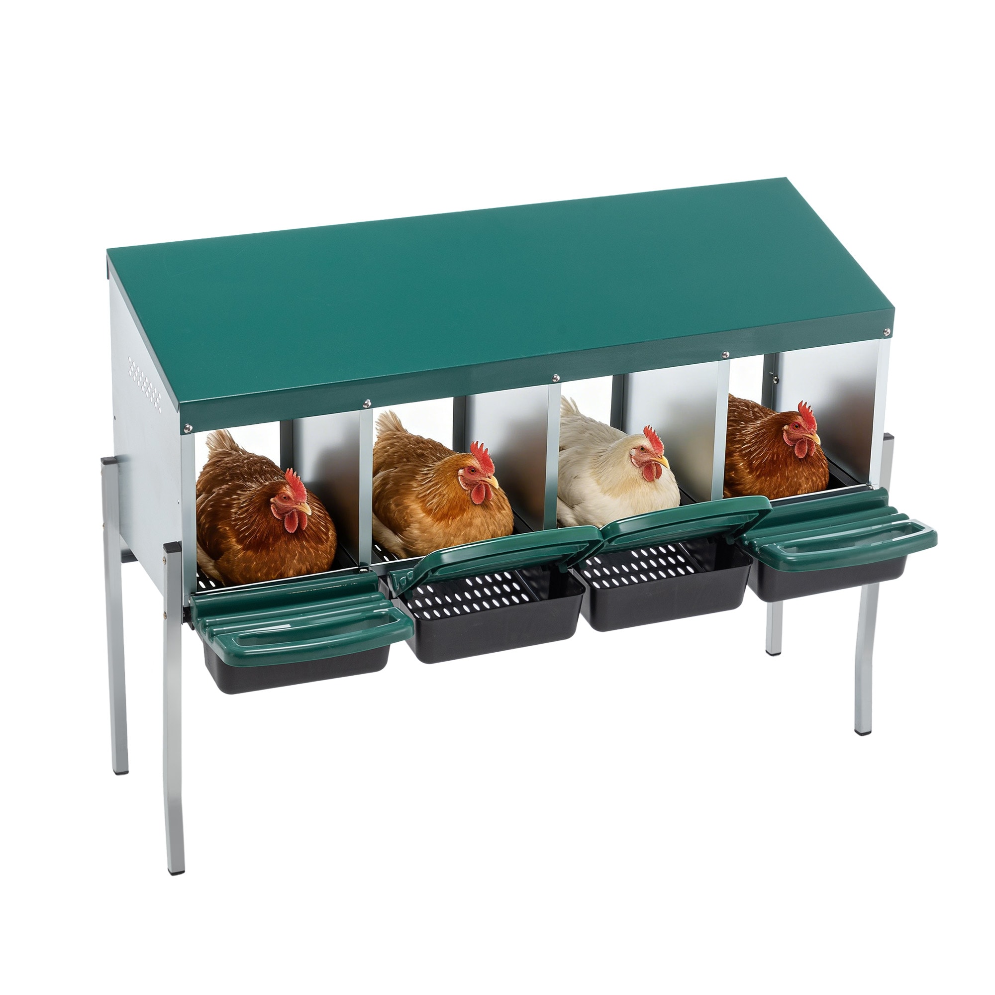 Kahomvis Green Metal Nest box training