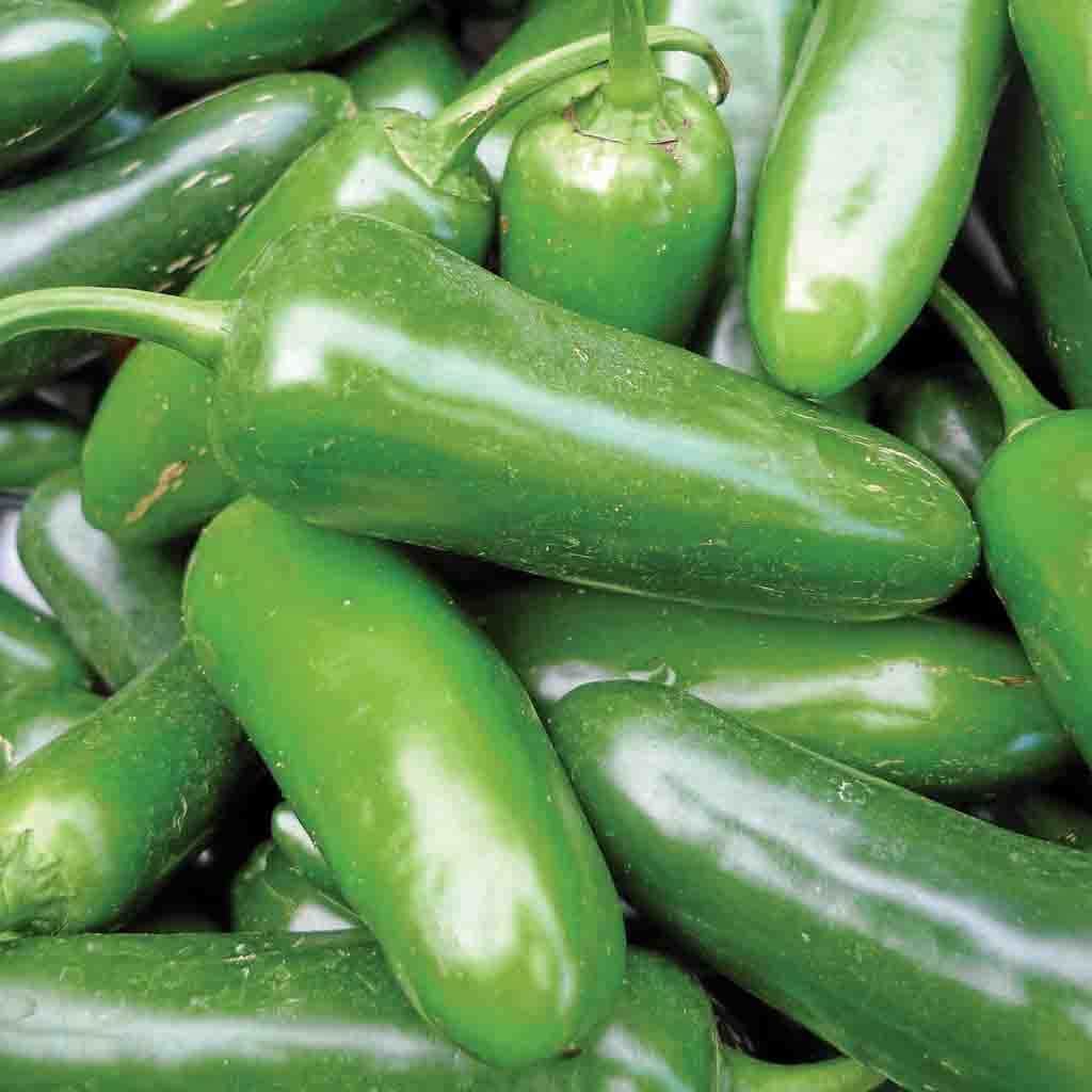 Ferry-Morse LC25.9637 Vegetable-Herb-Seeds - View #3