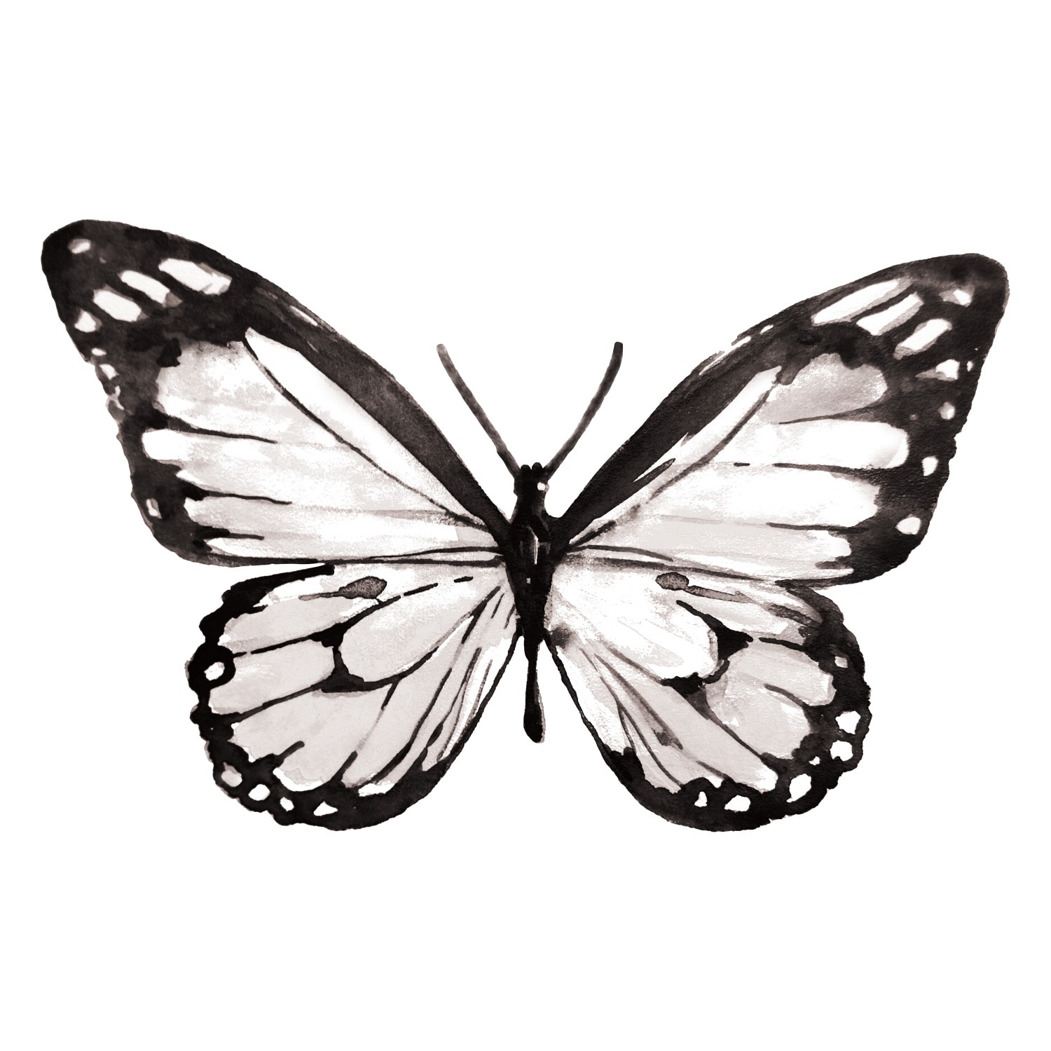 Black and White Watercolor Butterfly Peel and Stick Wall Decal