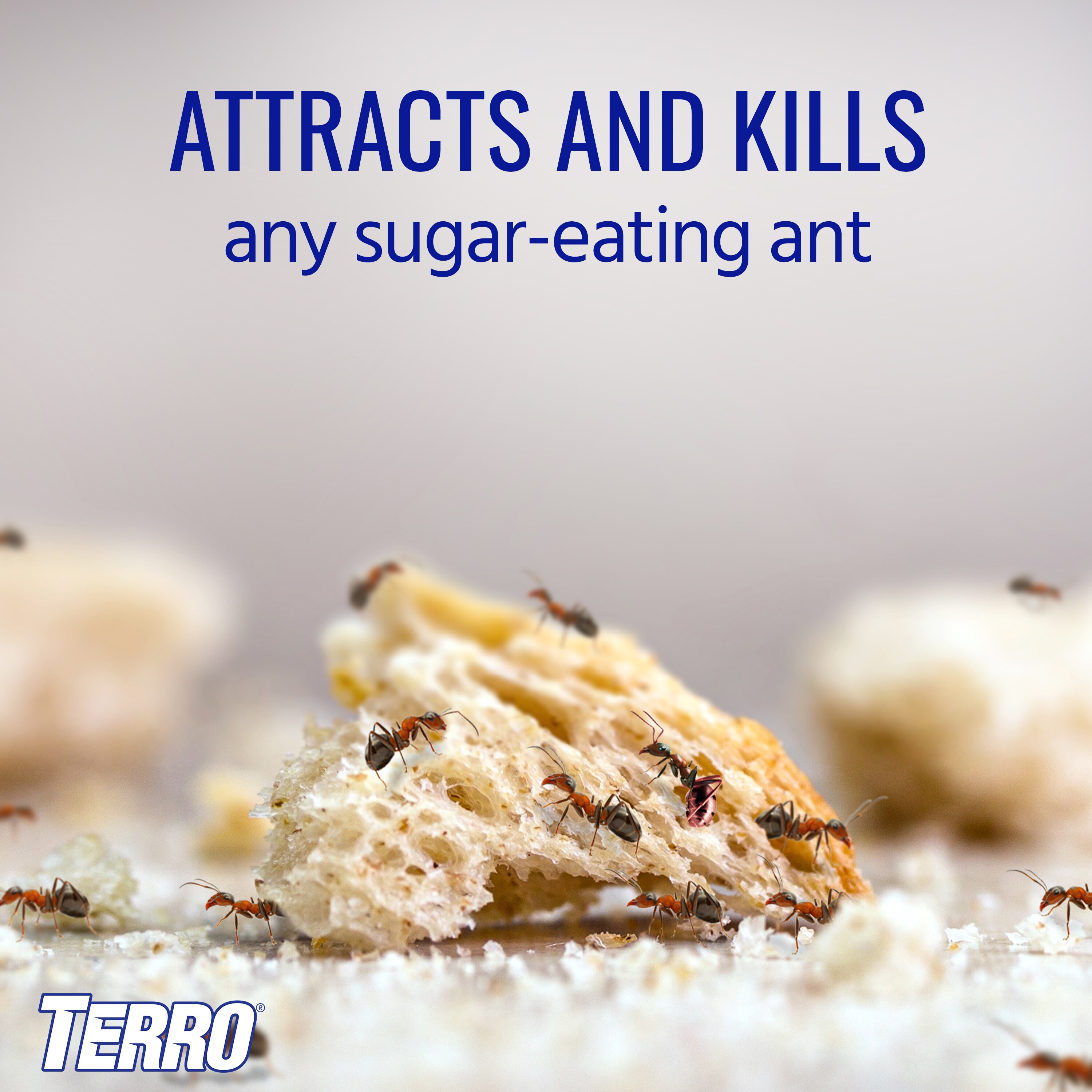 TERRO T200 pesticides - View #10