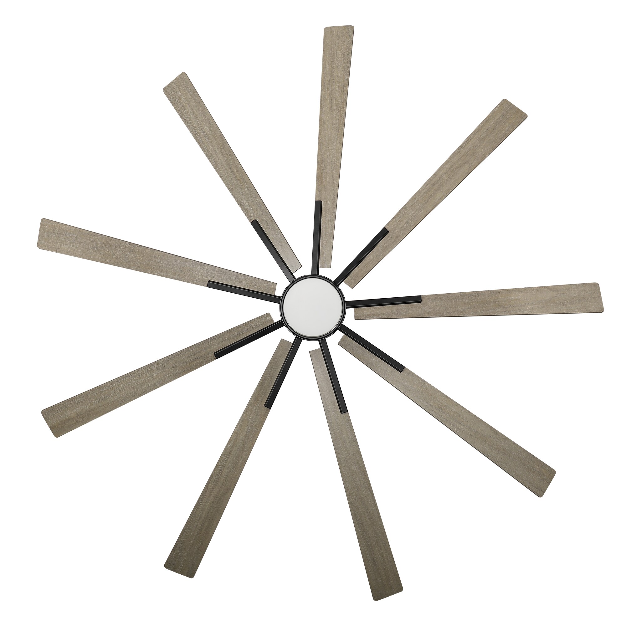 Parrot Uncle F8009BK Ceiling-Fans - View #15