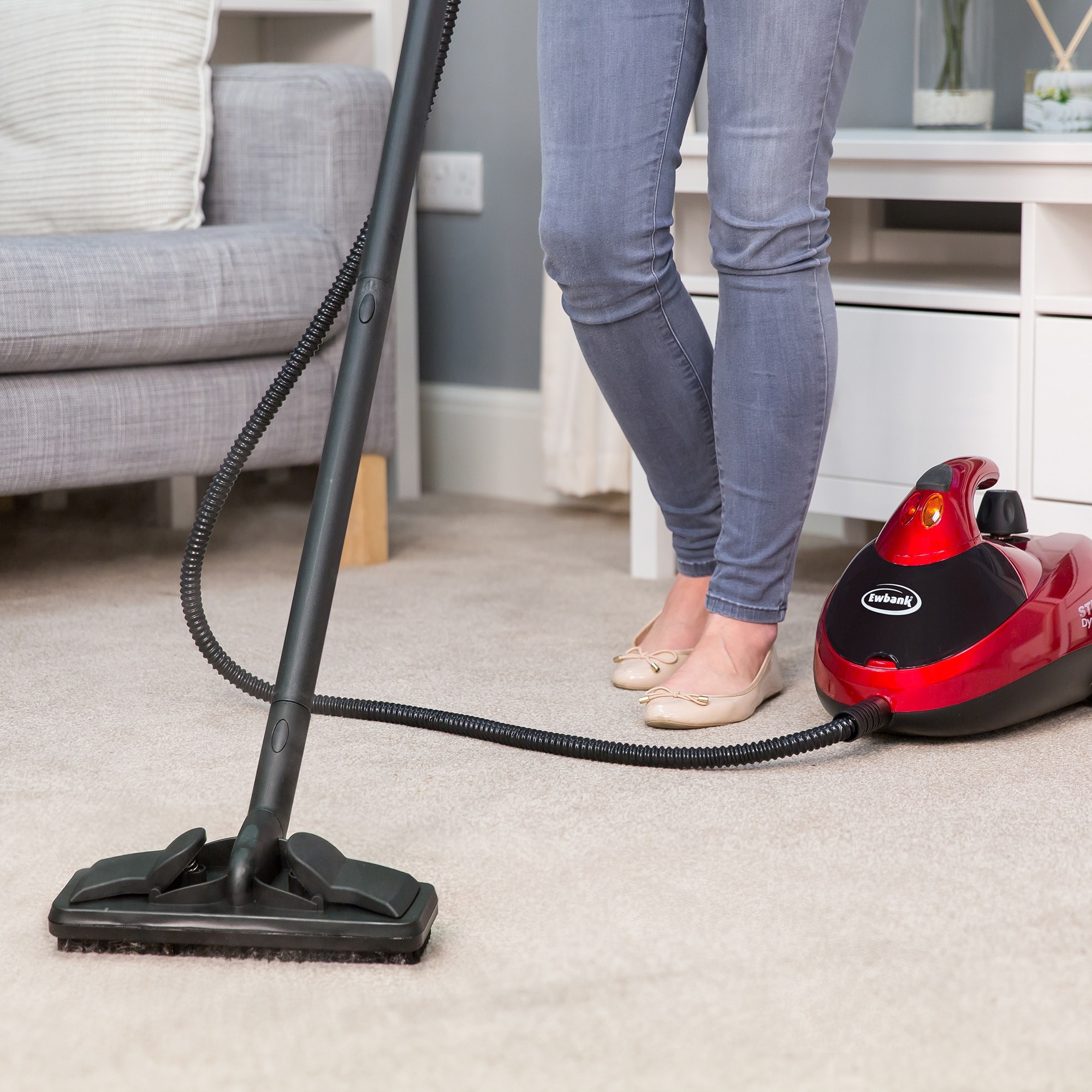 The Virus And Germ Destroying Convertible Steam Cleaner