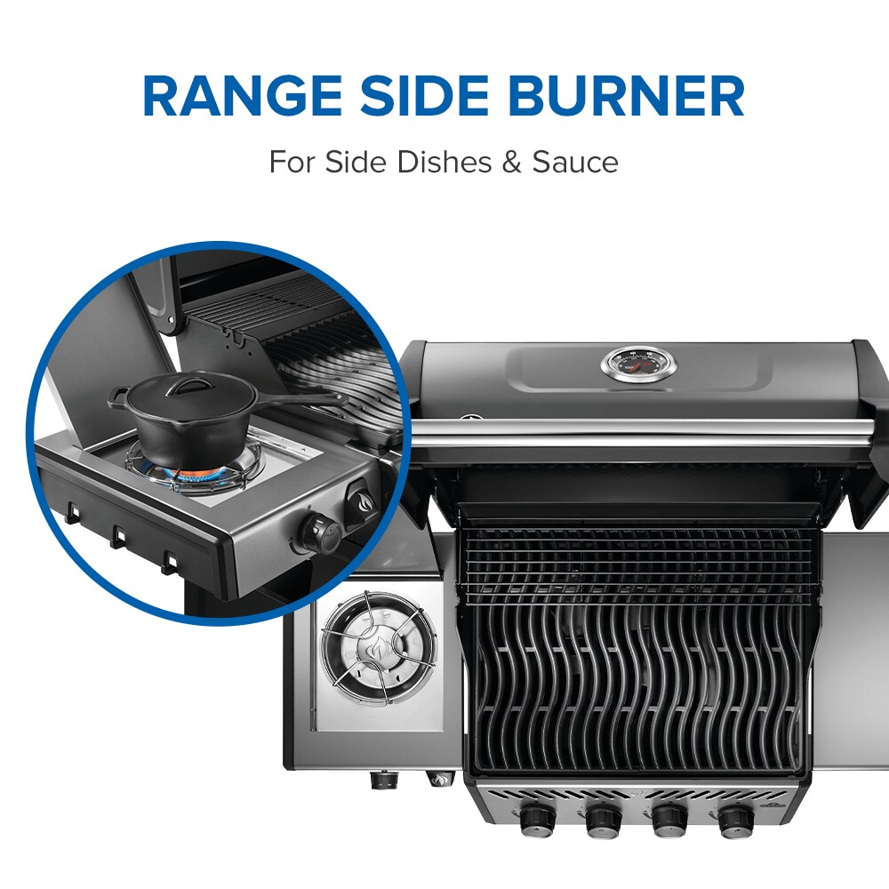 NAPOLEON F425DSBPGT-ECP Gas-Grill - View #7