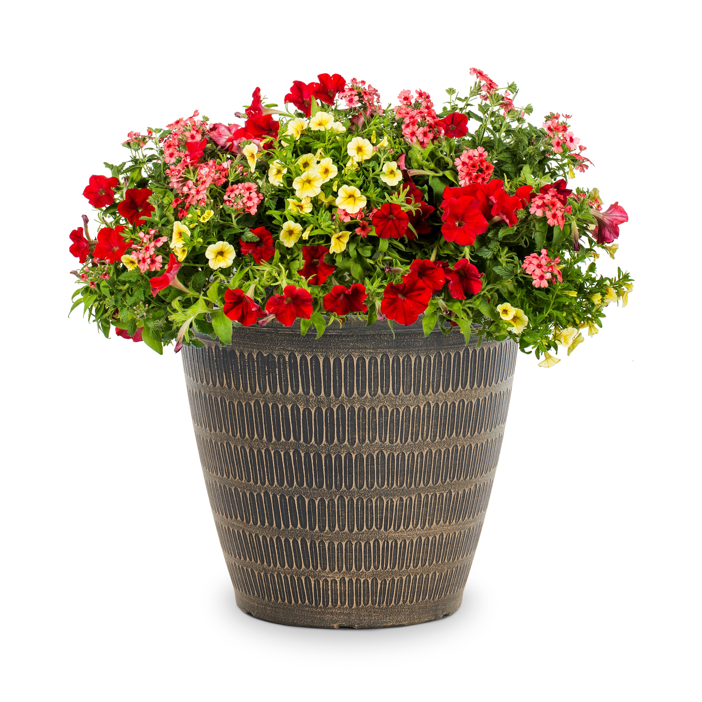 Lowe's NURSERY Multicolor Mixed Annuals Combinations Planter