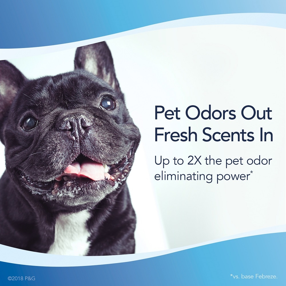 Outdoor pet 2024 odor eliminator lowes