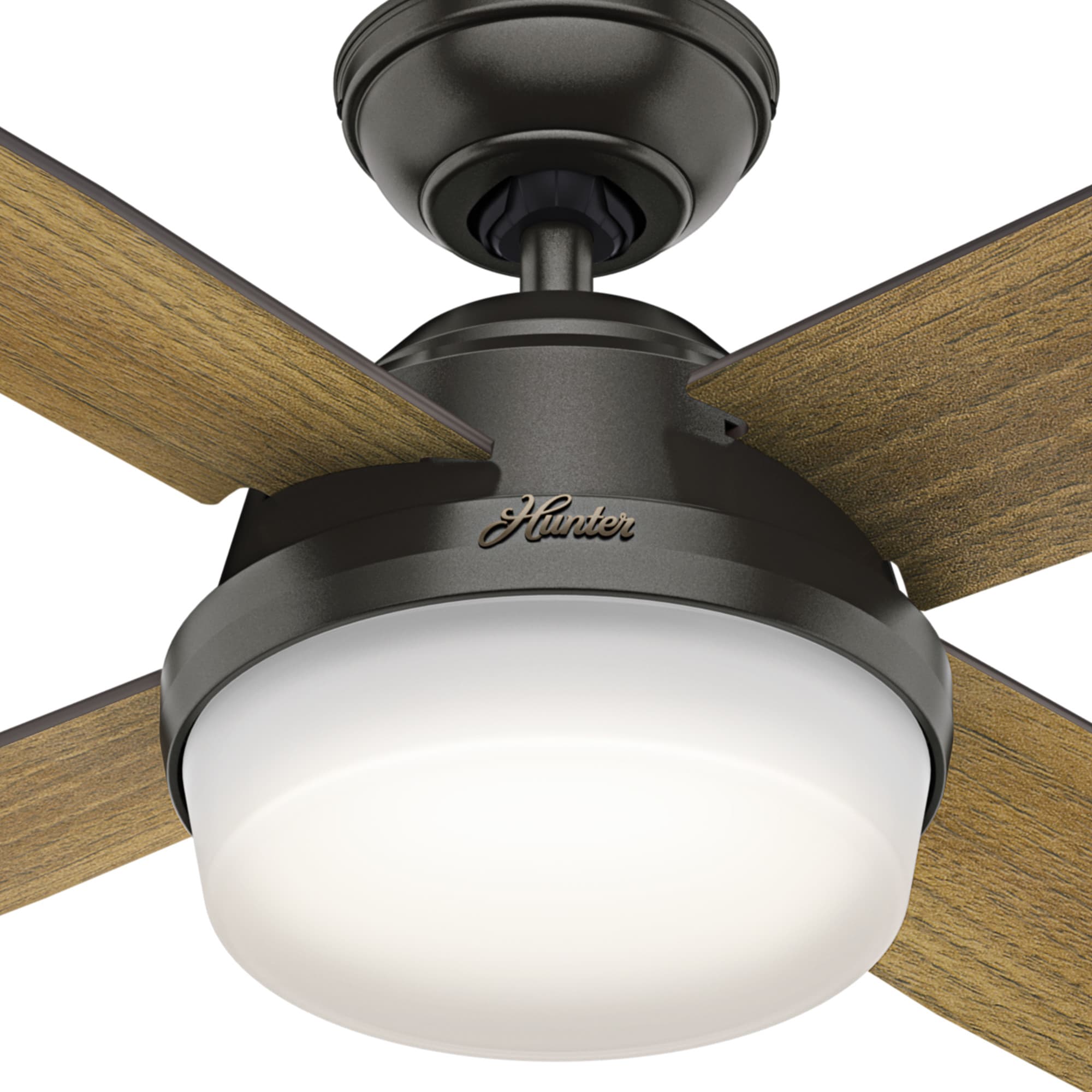 Hunter 59443 Ceiling-Fans - View #5