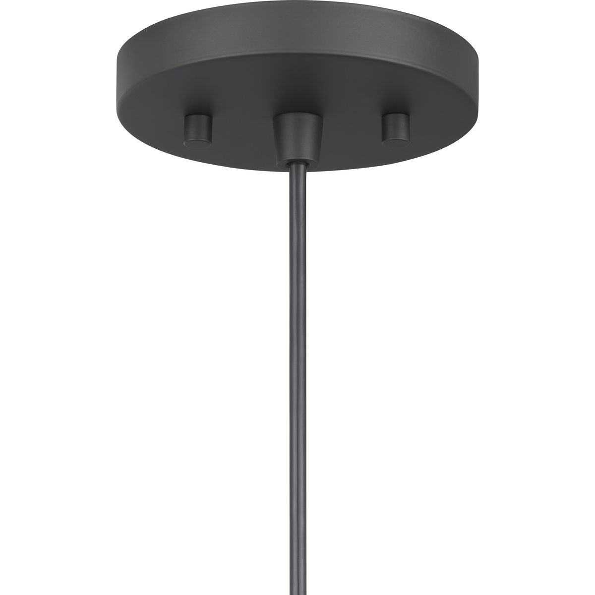 Progress Lighting P500426-31M Pendant-Lights - View #6