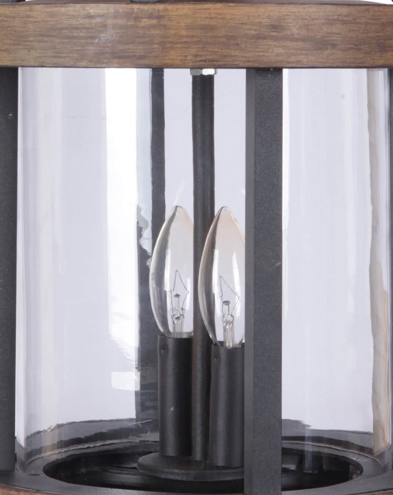 Ashwood Textured Black and Clear Glass 2-Light Outdoor Pendant
