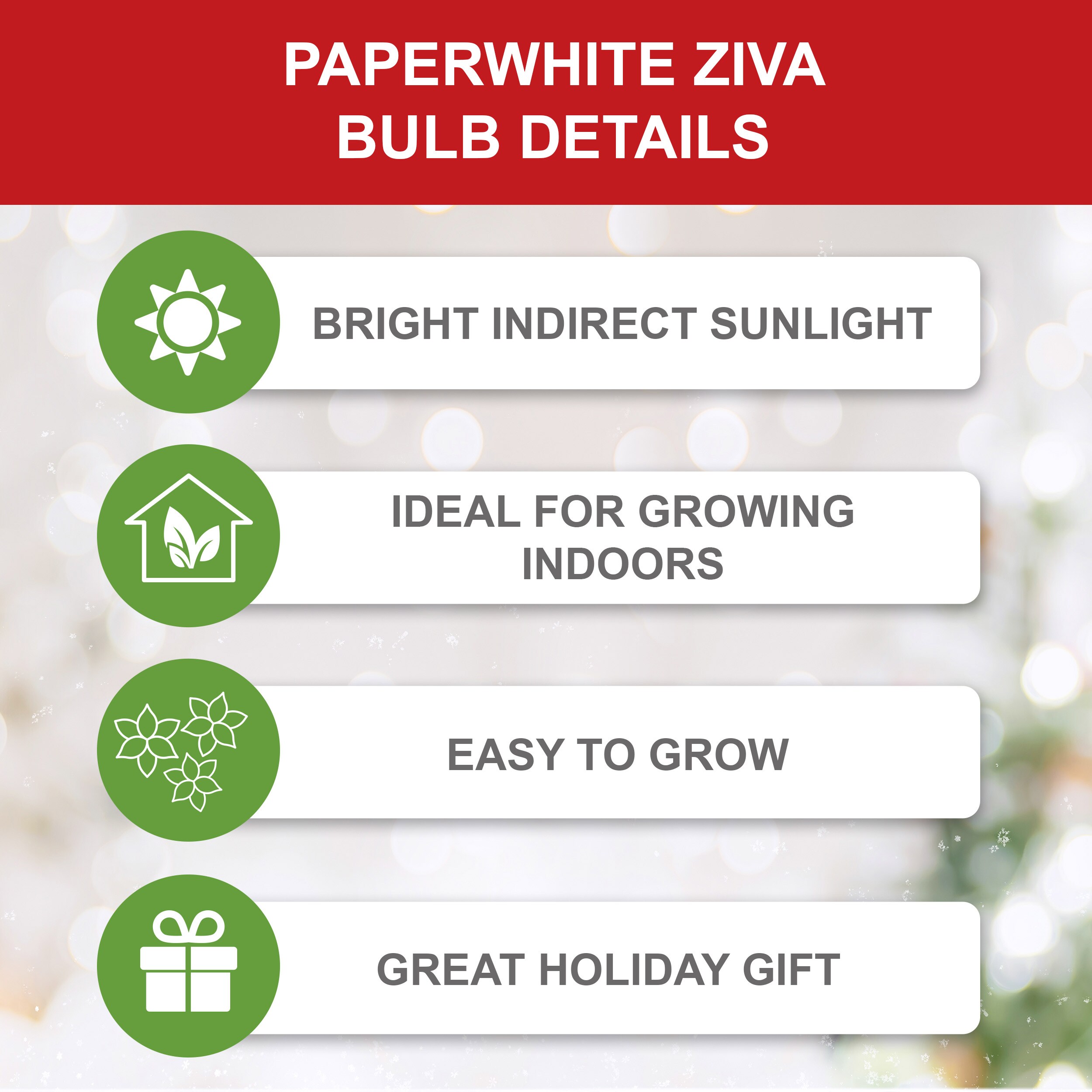 Garden State Bulb ECH-20-60-20 Plant-Bulbs - View #2