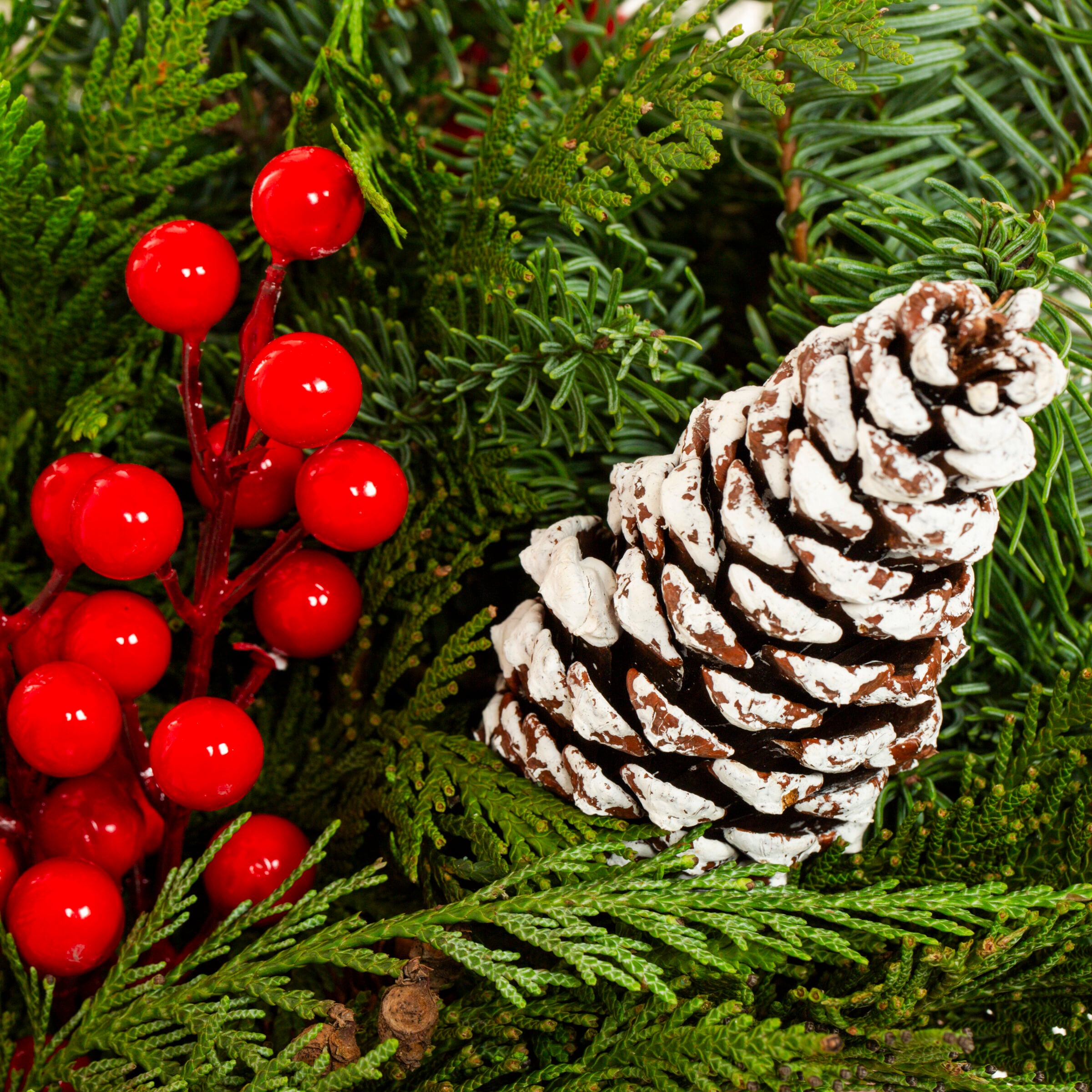 Metrolina Greenhouses 4399 Fresh-Cut-Christmas-Decorations - View #2