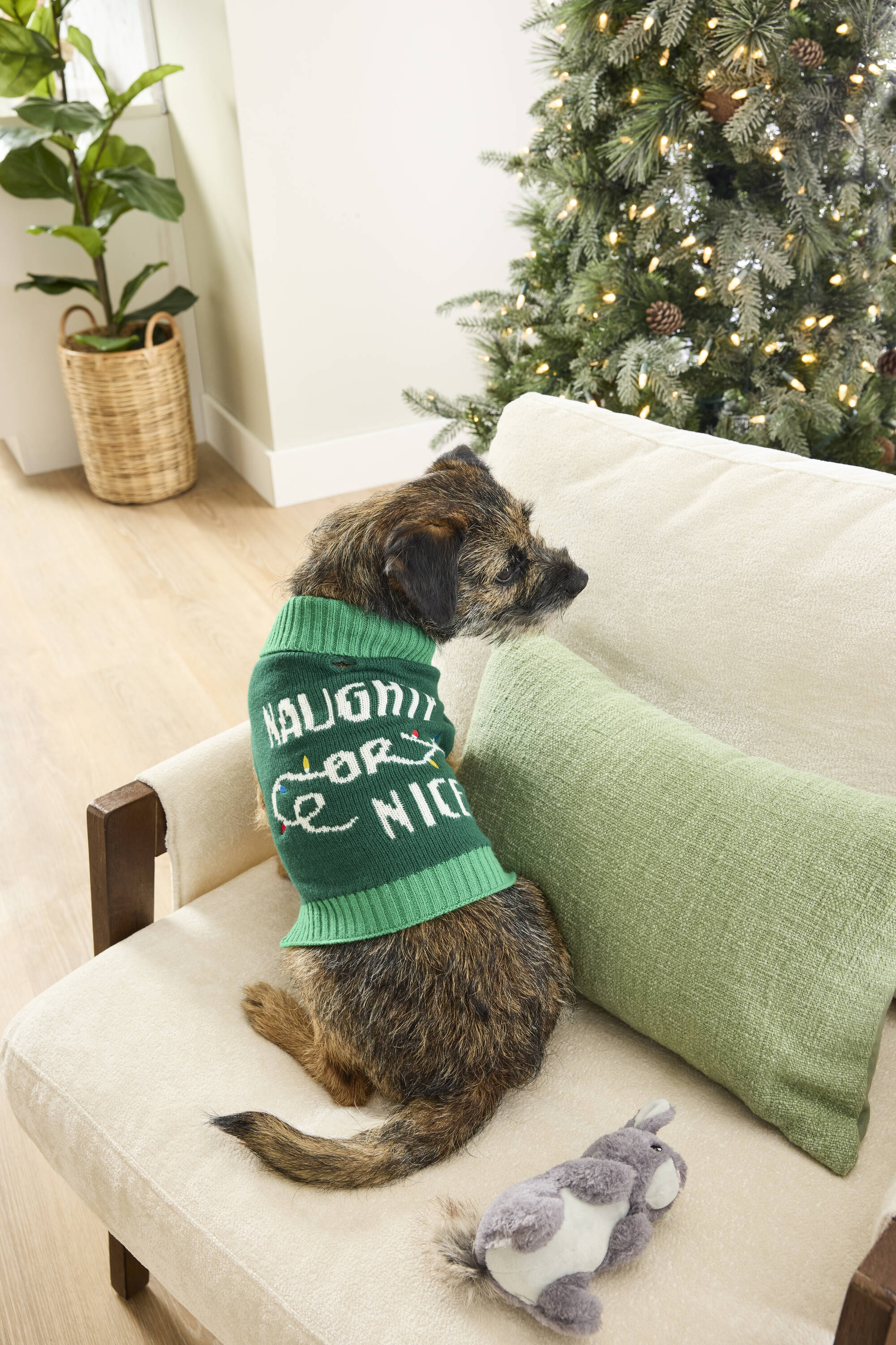 Heart & Herd YS0412-S Dog-Apparel - View #2
