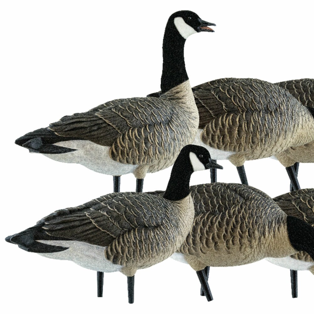  Avian X 408553 Hunting-Equipment - View #9