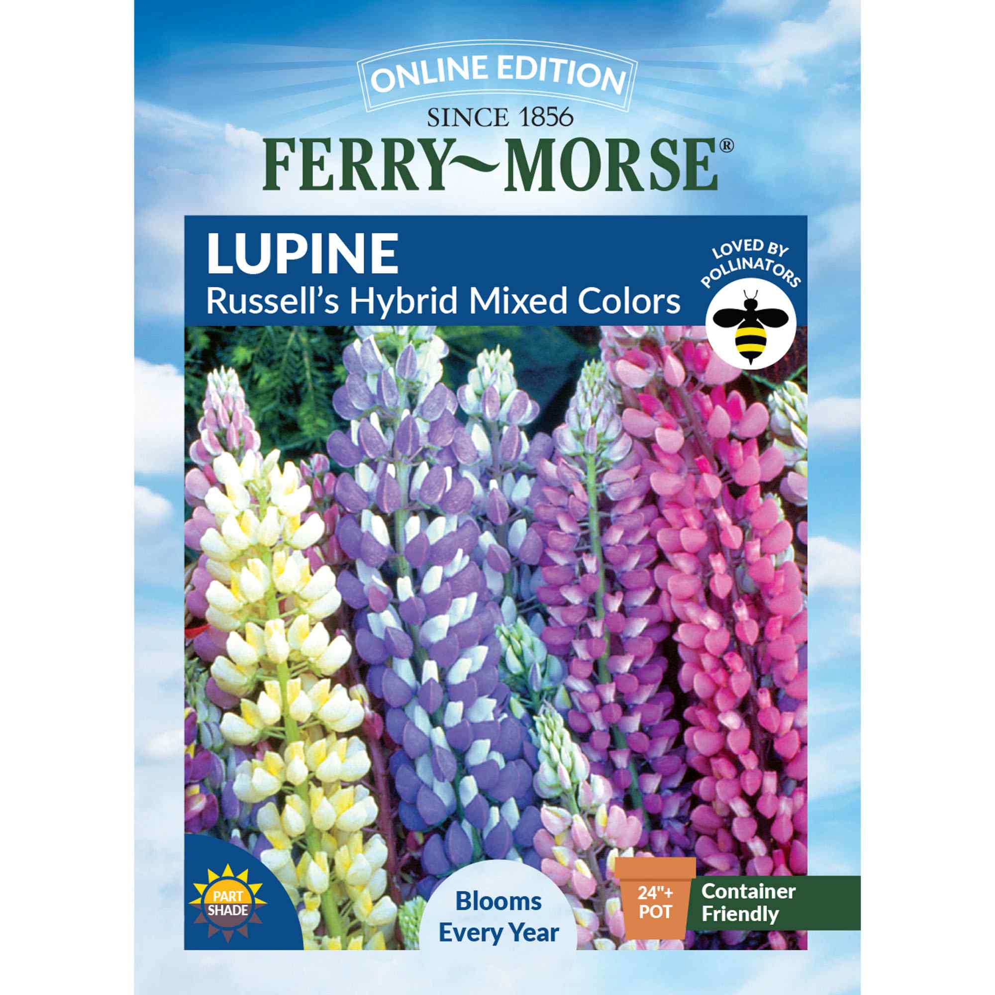 Ferry-Morse LC25.5983 Lupine Seeds 1.4 Gram(s)